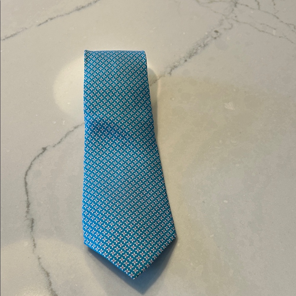 Ferragamo Men’s Tie Blue